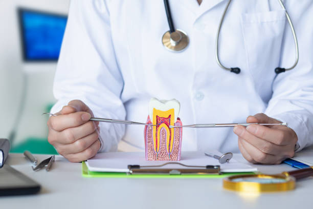 Best Pediatric Emergency Dentist in Loudonville, OH